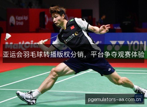 亚运会羽毛球转播版权分销，平台争夺观赛体验